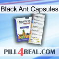 Black Ant Capsules 11